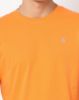 Image de T shirt col rond unité -  L MANGUE