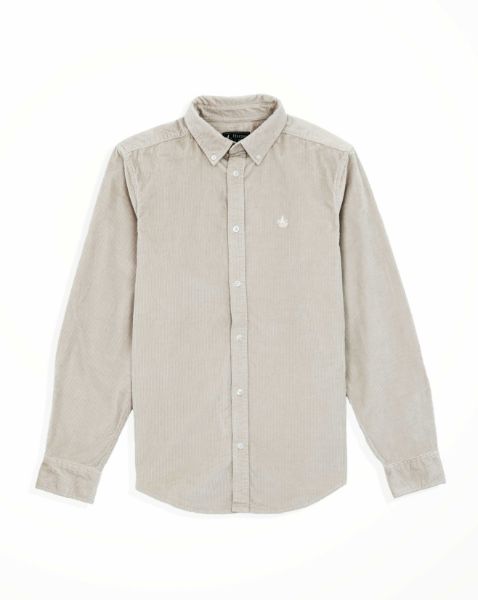 Image de Chemises velours côtélé unité -  3 XL MASTIC