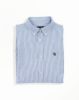 Image de Chemise Oxford rayée fine unité -  2 XL Campus